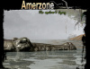 Превью изображения 0: Amerzone: The Explorer’s Legacy