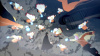Превью изображения 5: NARUTO X BORUTO Ultimate Ninja Storm Connections - Season Pass