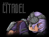 Превью изображения 0: The Citadel