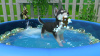 Превью изображения 2: Little Friends: Puppy Island