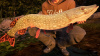 Превью изображения 2: Fishing Sim World: Pro Tour - Jezioro Bestii