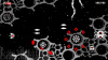 Превью изображения 2: Binarystar Infinity