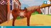 Превью изображения 2: Bibi & Tina - New adventures with horses