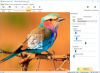 Превью изображения 1: SoftOrbits Sketch Drawer (Создание эффекта рисунка из фото) [Цифровая версия]