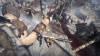 Превью изображения 1: Brothers - A Tale of Two Sons