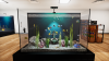 Превью изображения 1: Aquatic Store Simulator