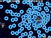 Превью изображения 1: Neptunia Shooter