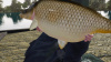 Превью изображения 3: Fishing Sim World: Pro Tour - Gigantica Road Lake