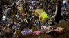 Превью изображения 2: Blood Bowl 3 - Black Orcs Customizations