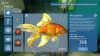 Превью изображения 1: Aquarist