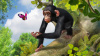 Превью изображения 1: Zoo Tycoon: Ultimate Animal Collection