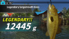 Превью изображения 3: Legendary Fishing (Nintendo Switch - Цифровая версия) (EU)