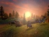 Превью изображения 3: SpellForce - Platinum Edition