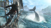 Превью изображения 1: Assassins Creed IV Black Flag. Special Edition